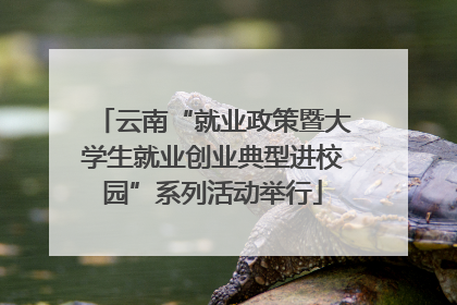 云南“就业政策暨大学生就业创业典型进校园”系列活动举行